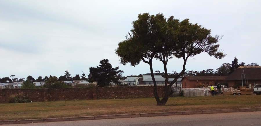 0 Bedroom Property for Sale in Albertinia Western Cape